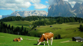 Азараў: У ГУБАЗіКу былі вельмі шчаслівыя, калі ездзілі адпачываць на Захад кожны год