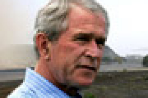 "Аль-Каида" призывает убить Буша во время его ближневосточного турне