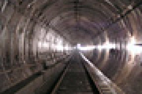 Кого можно встретить в тоннелях метро?