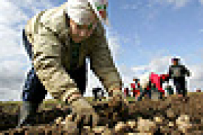 Раскусят ли иностранные инвесторы белорусскую картошку