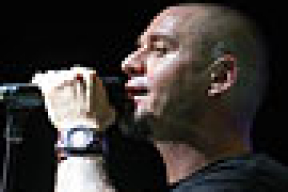 В новом клипе "Ляписов" снялось 300 коров