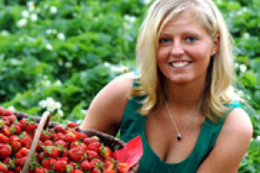 Мисс «клубничка», Мисс «картошка», Мисс «колбаска»