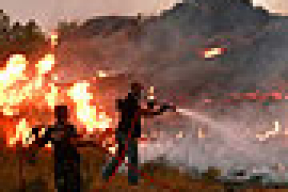 Пожары в «чернобыльских лесах» вызвали споры экспертов. Во Франции уже готовятся к борьбе с «радиоактивным облаком»