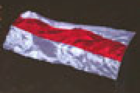 Мірон заклікае байкатаваць прэзыдэнцкія выбары