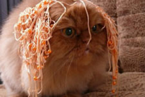 Рецепт лапши на уши избирателей