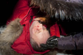 Кто на самом деле избил Некляева (видео)