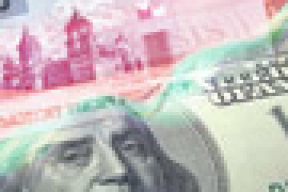 The Wall Street Journal назвал валютную политику Беларуси «шизофренической»