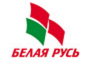 В Беларуси может появиться «партия власти»