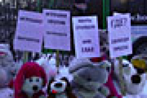 На площади Независимости против Лукашенко протестовали игрушки (фотофакт)