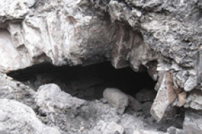 У Софийского собора обнаружен подземный ход (фото)