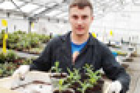 Як беспрацоўнаму знайсці месца на 10 мільёнаў. Частка 2.