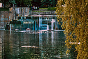 Романтика у нас под носом