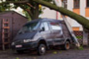 В Гомеле ураган срывал крыши и валил деревья (фото)