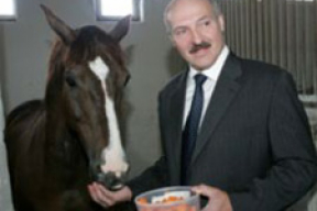У рэзыдэнцыі Лукашэнкі жывуць каты, сабака, карова, козы, птушкі