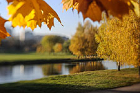Золотая осень в Минске (фото)