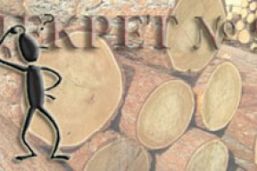 Декрет №9 не работает, потому что чиновники не знают, как его применять