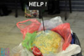 Идеи от БРСМ: Рецепт бессмертия и альтернатива оружию