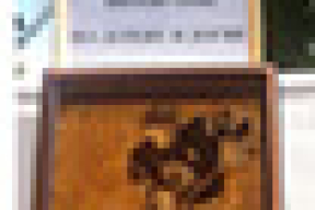 На «Славянскім базары» прадаюцца «хакеіст» і «дзюдаіст»