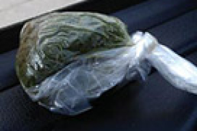 На смеси из табака и фекалий зарабатывают по $ 5000