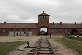 Как поляки провернули операцию «Освенцим без Путина»