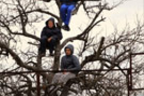 Как в Мозыре футбол смотрели