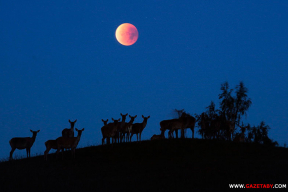 У Земли появилась вторая луна. Но есть нюансы