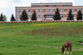 Як Лукашэнка адбіў у мяне ахвоту стаць настаўнікам
