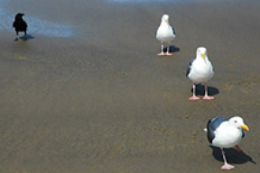 Беларусь оказалась мировым аутсайдером в экономике