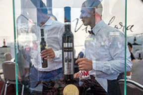 Как празднуют День вина в Молдове (фото)