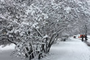 «У нас экономика замерзает, потому что гораздо раньше у нас окочурился здравый смысл»