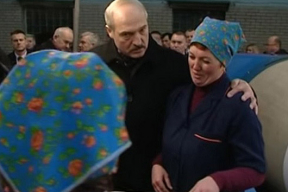 Опять окамволились