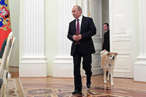 «Собаки живут меньше, чем правят наши начальники, и меняются чаще, чем хозяева Кремля»