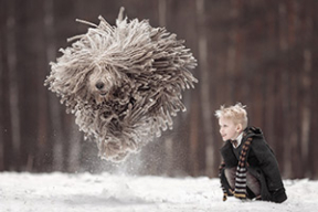 Когда твоя собака – чудо-юдо