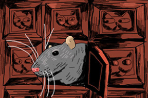 Почему соцопросам нельзя верить