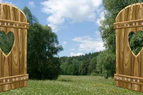 Почему шаг властей в верном направлении вызвал критику