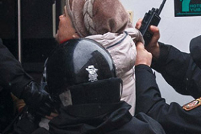 А они, оказывается, еще те няшки