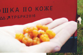 Страсть к машинам и еде: «В лесу просто закидывали ягоды в банку и заливали водкой»
