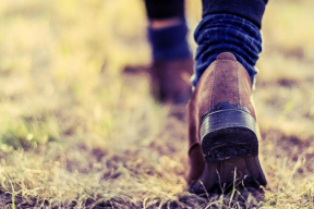 Неусвоенный урок, или Почему белорусы маршируют на граблях