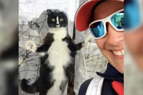 Кошка, которая хочет убить почтальона