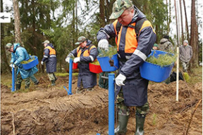 Кобяков с лукошком и другие жертвы субботника