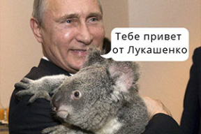 Фотожабы: «Любовницы трудоустроены, боевики посажены, теперь – посевная»