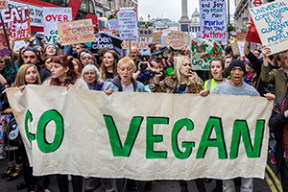 «Третью мировую развяжут вегетарианцы»