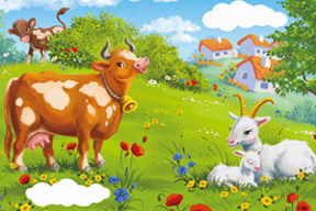 Коза или корова?