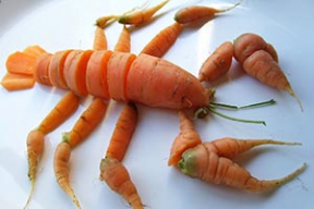 Фотожабы: «Единственный лобстер, доступный белорусу»