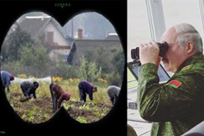 Фотожабы: Беларусь уже не страна картошки