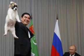 Новый щенок Путина: «Усиление группы алабаев»