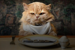 Как Лукашенко использует «жирных котов»