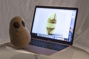 Фотофакт. Дизайнер придумала колоритный белорусский сувенир — плюшевую картошку