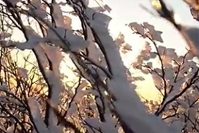 Вышел клип «Харли» о той самой зиме, которая сегодня за окном: «Все вернется с рассветом»