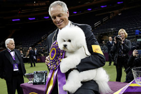 Знакомьтесь, это лучшая собака США